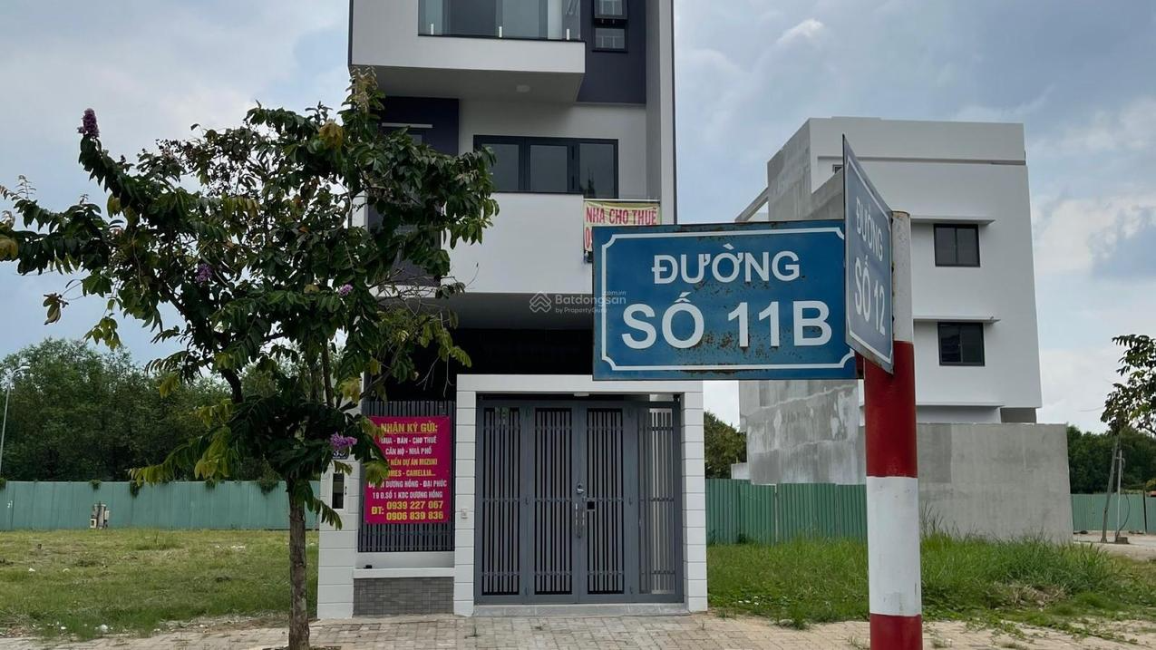 Hình 5